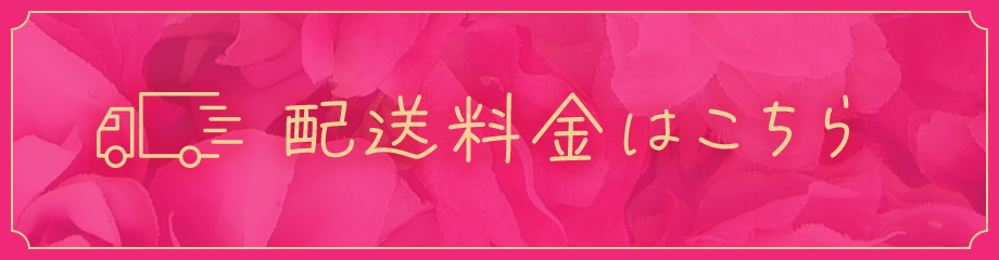 配送料金はこちら