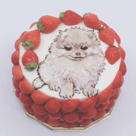 イラストとフルーツのケーキ