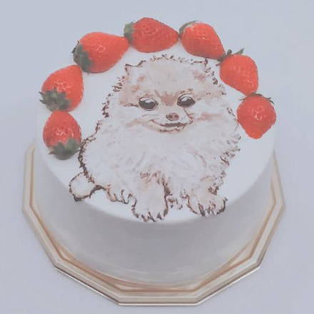 イラストのみのケーキ